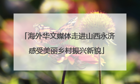 海外华文媒体走进山西永济 感受美丽乡村振兴新貌