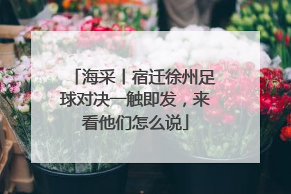 海采丨宿迁徐州足球对决一触即发，来看他们怎么说
