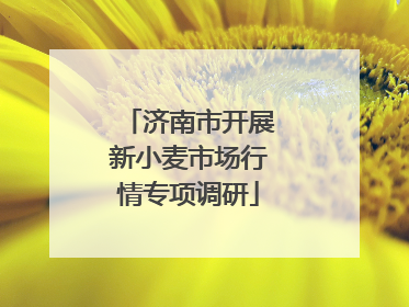 济南市开展新小麦市场行情专项调研