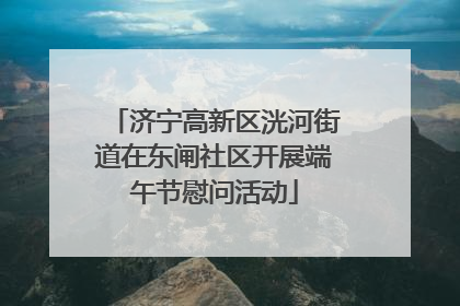 济宁高新区洸河街道在东闸社区开展端午节慰问活动