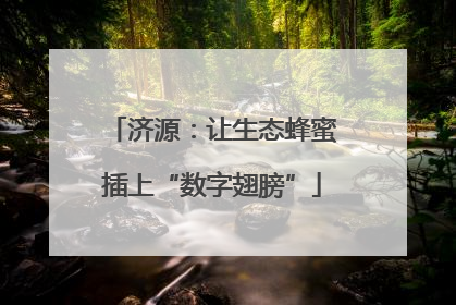 济源：让生态蜂蜜插上“数字翅膀”
