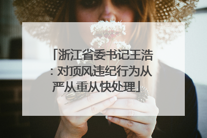 浙江省委书记王浩：对顶风违纪行为从严从重从快处理