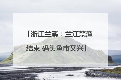 浙江兰溪：兰江禁渔结束 码头鱼市又兴