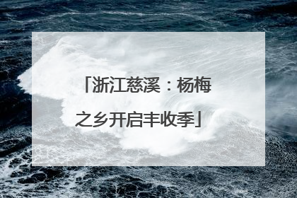 浙江慈溪：杨梅之乡开启丰收季