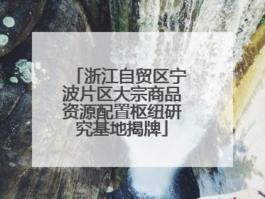 浙江自贸区宁波片区大宗商品资源配置枢纽研究基地揭牌