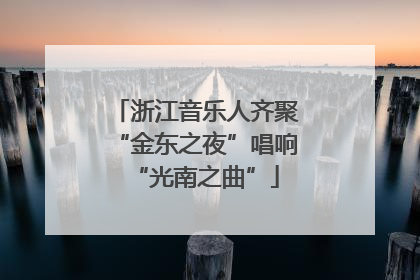 浙江音乐人齐聚“金东之夜”唱响“光南之曲”