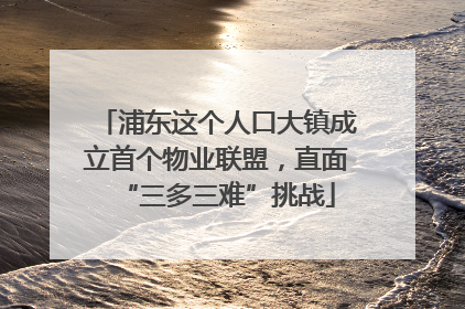 浦东这个人口大镇成立首个物业联盟，直面“三多三难”挑战