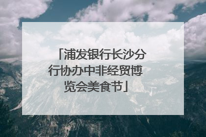 浦发银行长沙分行协办中非经贸博览会美食节