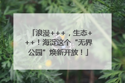 浪漫+++，生态+++！海淀这个“无界公园”焕新开放！