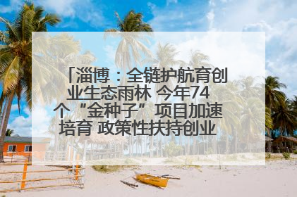 淄博：全链护航育创业生态雨林 今年74个“金种子”项目加速培育 政策性扶持创业9754人