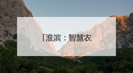 淮滨：智慧农业平台跑出麦收“加速度”