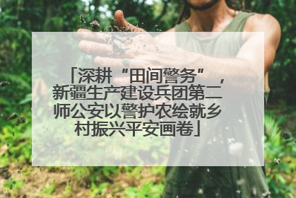 深耕“田间警务”，新疆生产建设兵团第二师公安以警护农绘就乡村振兴平安画卷