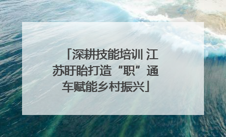 深耕技能培训 江苏盱眙打造“职”通车赋能乡村振兴