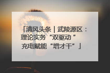清风头条｜武陵源区：理论实务“双驱动 ” 充电赋能“增才干”