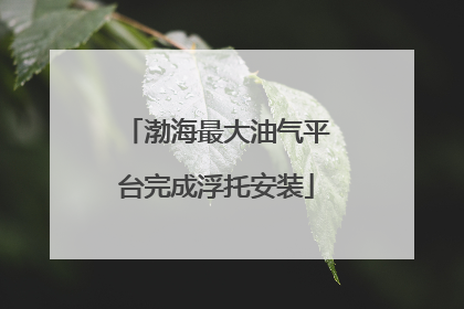 渤海最大油气平台完成浮托安装
