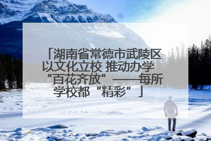 湖南省常德市武陵区以文化立校 推动办学“百花齐放”——每所学校都“精彩”
