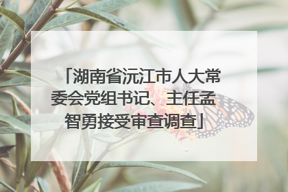 湖南省沅江市人大常委会党组书记、主任孟智勇接受审查调查