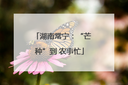 湖南常宁：“芒种”到 农事忙