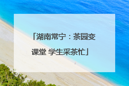 湖南常宁：茶园变课堂 学生采茶忙
