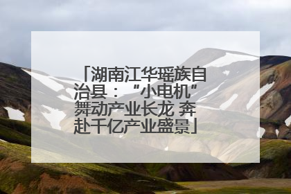 湖南江华瑶族自治县：“小电机”舞动产业长龙 奔赴千亿产业盛景