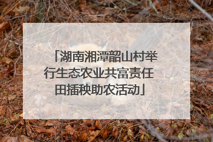湖南湘潭韶山村举行生态农业共富责任田插秧助农活动