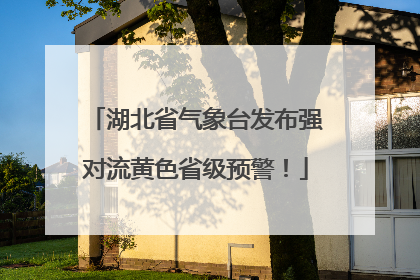 湖北省气象台发布强对流黄色省级预警！