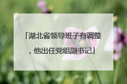 湖北省领导班子有调整，他出任党组副书记