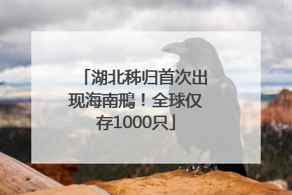 湖北秭归首次出现海南鳽！全球仅存1000只