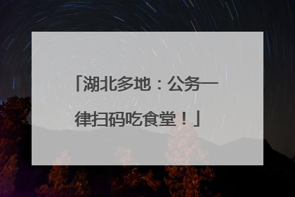 湖北多地：公务一律扫码吃食堂！