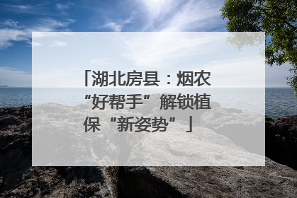湖北房县：烟农“好帮手”解锁植保“新姿势”