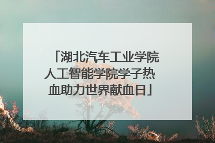湖北汽车工业学院人工智能学院学子热血助力世界献血日