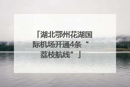 湖北鄂州花湖国际机场开通4条“荔枝航线”