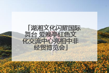 湖湘文化闪耀国际舞台 爱晚亭红色文化交流中心亮相中非经贸博览会