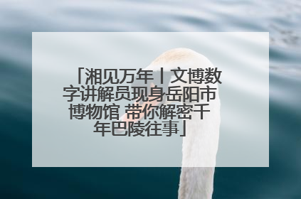 湘见万年丨文博数字讲解员现身岳阳市博物馆 带你解密千年巴陵往事