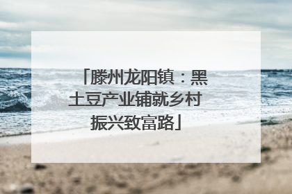 滕州龙阳镇：黑土豆产业铺就乡村振兴致富路