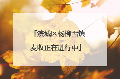 滨城区杨柳雪镇麦收正在进行中