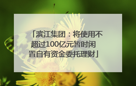 滨江集团：将使用不超过100亿元暂时闲置自有资金委托理财