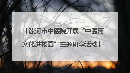 漯河市中医院开展“中医药文化进校园”主题研学活动