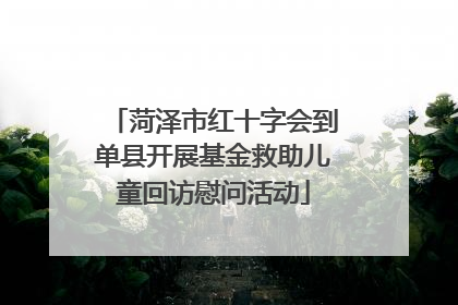 菏泽市红十字会到单县开展基金救助儿童回访慰问活动