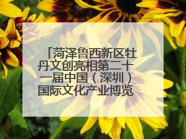 菏泽鲁西新区牡丹文创亮相第二十一届中国（深圳）国际文化产业博览交易会