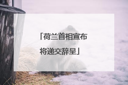荷兰首相宣布将递交辞呈