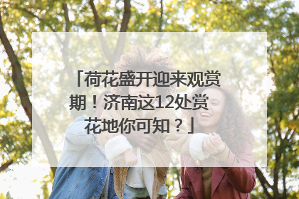 荷花盛开迎来观赏期！济南这12处赏花地你可知？