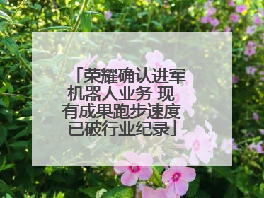荣耀确认进军机器人业务 现有成果跑步速度已破行业纪录
