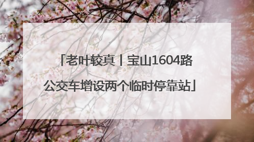 老叶较真丨宝山1604路公交车增设两个临时停靠站