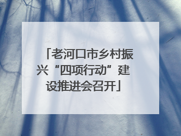 老河口市乡村振兴“四项行动”建设推进会召开