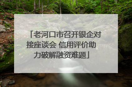 老河口市召开银企对接座谈会 信用评价助力破解融资难题