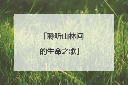 聆听山林间的生命之歌