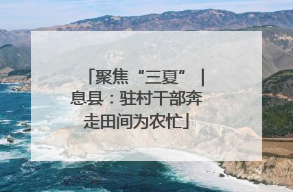 聚焦“三夏”｜息县：驻村干部奔走田间为农忙