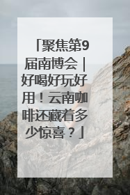 聚焦第9届南博会｜好喝好玩好用！云南咖啡还藏着多少惊喜？