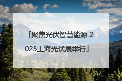 聚焦光伏智慧能源 2025上海光伏展举行